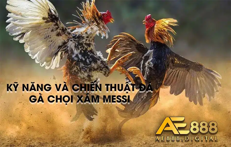 Khám phá các kỹ năng để chiến thắng 