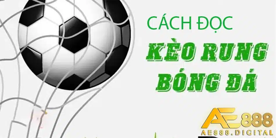 hướng dẫn cách đọc kèo rung bóng đá tại ae888