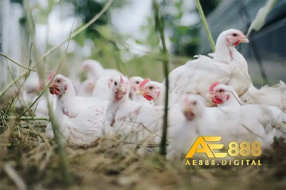 Thực hiện các biện pháp phòng tránh kịp thời
