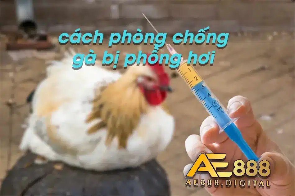 Các biện pháp phòng bệnh cho gà