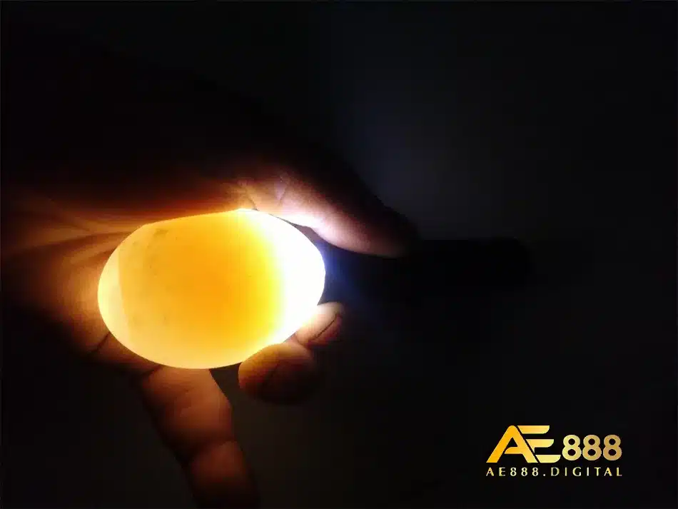 Soi trứng dúng với kỹ thuật