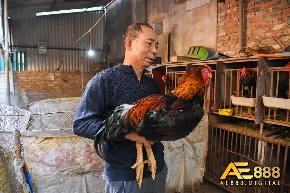 Cung cấp chế độ dinh dưỡng hợp lí