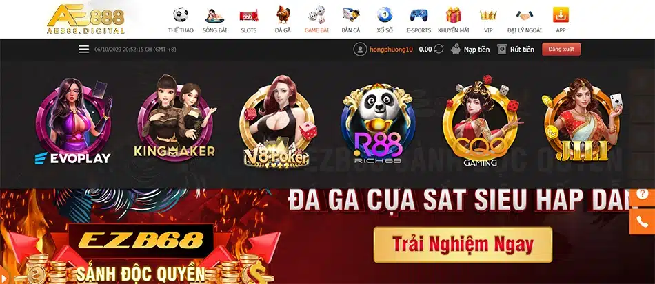 người chơi cá cược tại nhà cái uy tín ae888