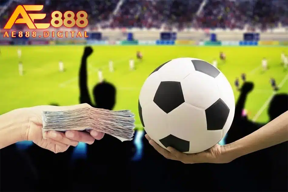 những công việc của cò cá độ bóng đá tại ae888