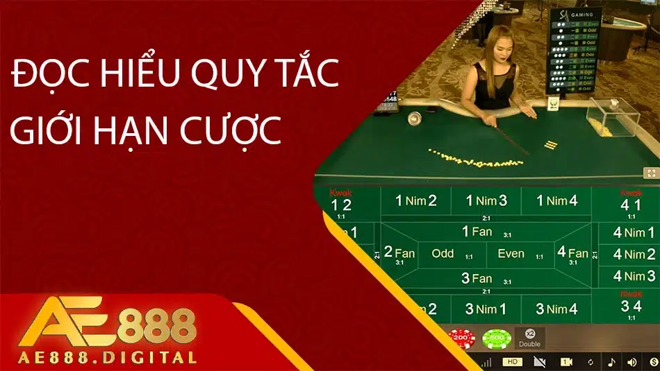 cách đọc hiểu quy tắc và giới hạn cược của bàn tại ae888