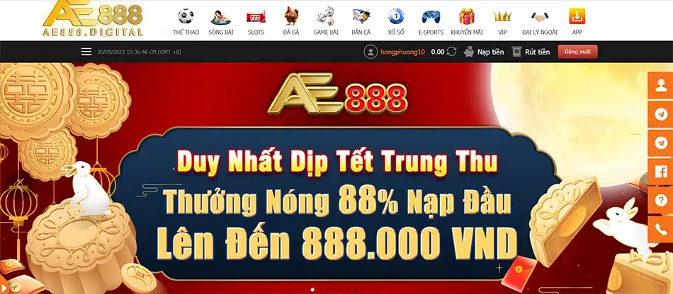 cách hướng dẫn sử dụng Surebets và nhà cái ae888