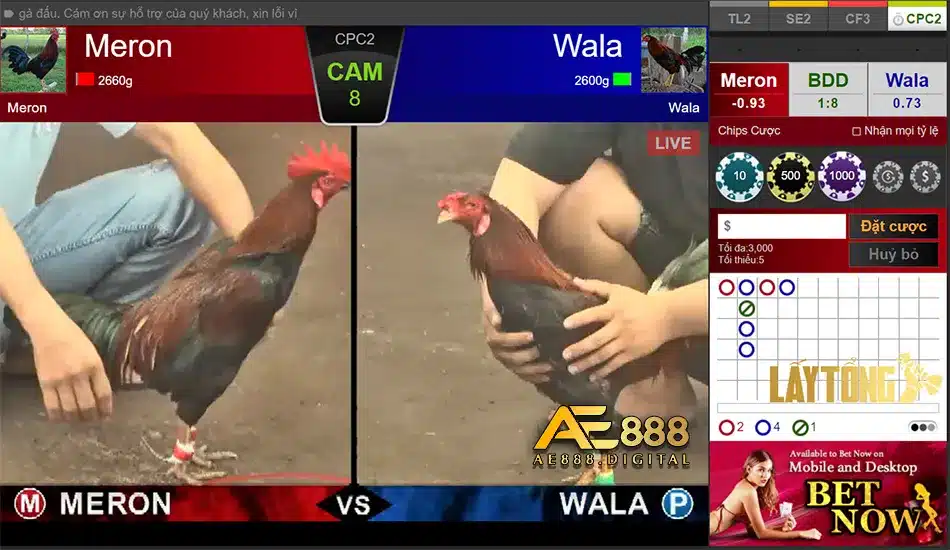 Các bước tham gia đá gà online
