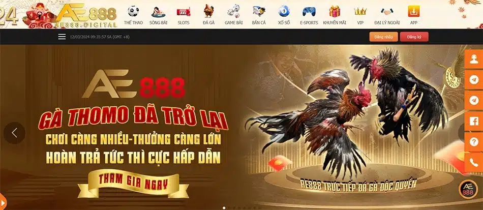 một số Lý do khiến bạn nên chọn cược tại nhà cái AE888