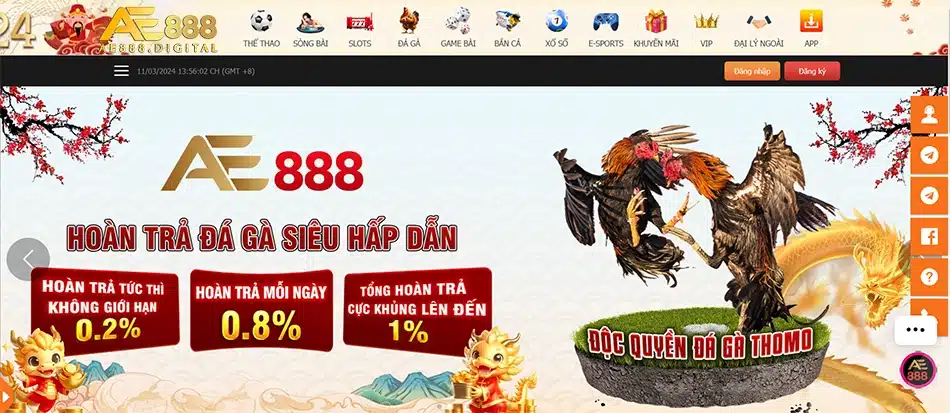 trải nghiệm Tham gia đá gà tại AE888 - Sân chơi của các cao thủ